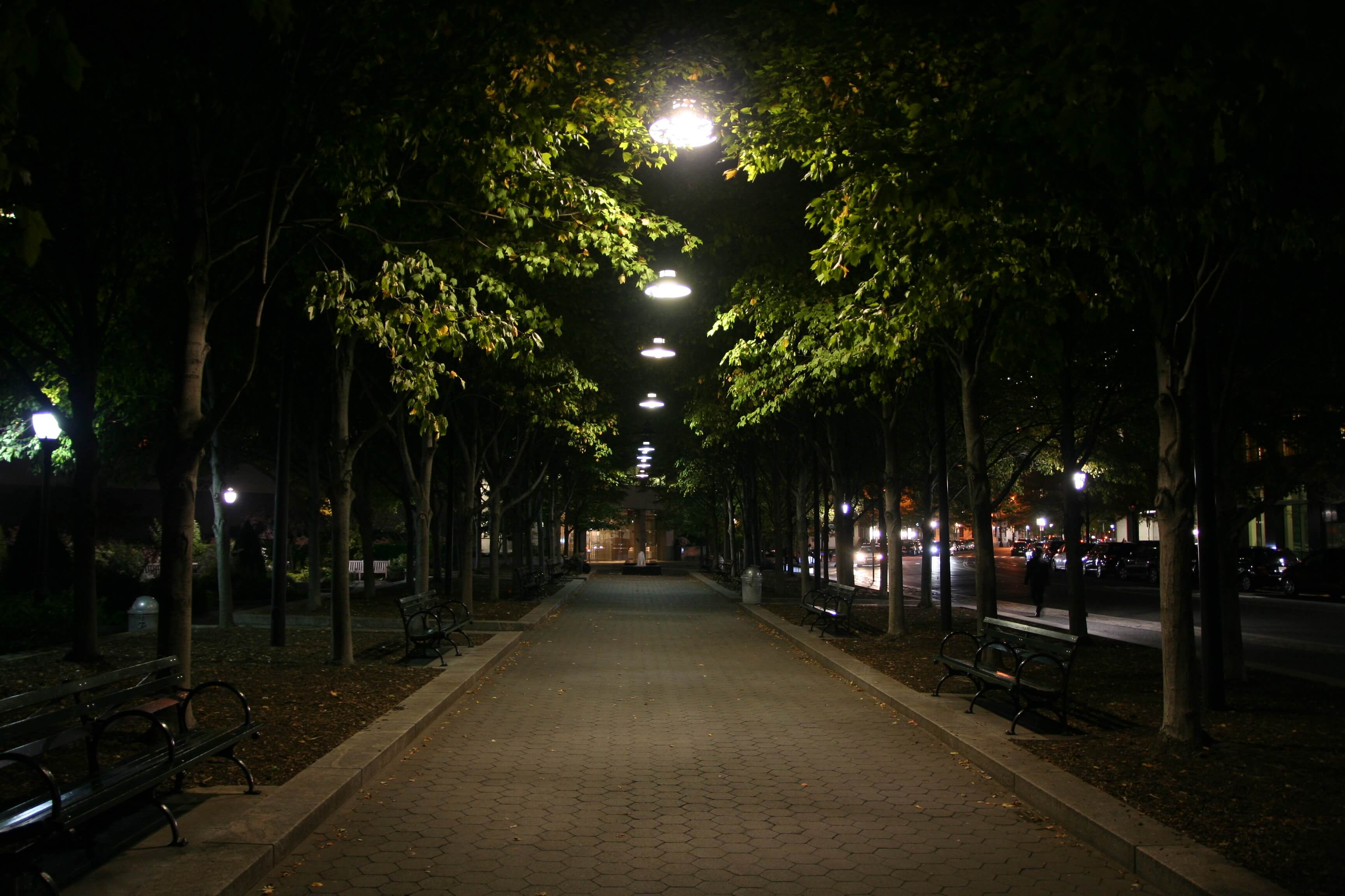 Улица ночью весной. Парк Манхеттен лавочка фонарь. Ночной парк. Улица в парке ночью. Ночь улица парк.