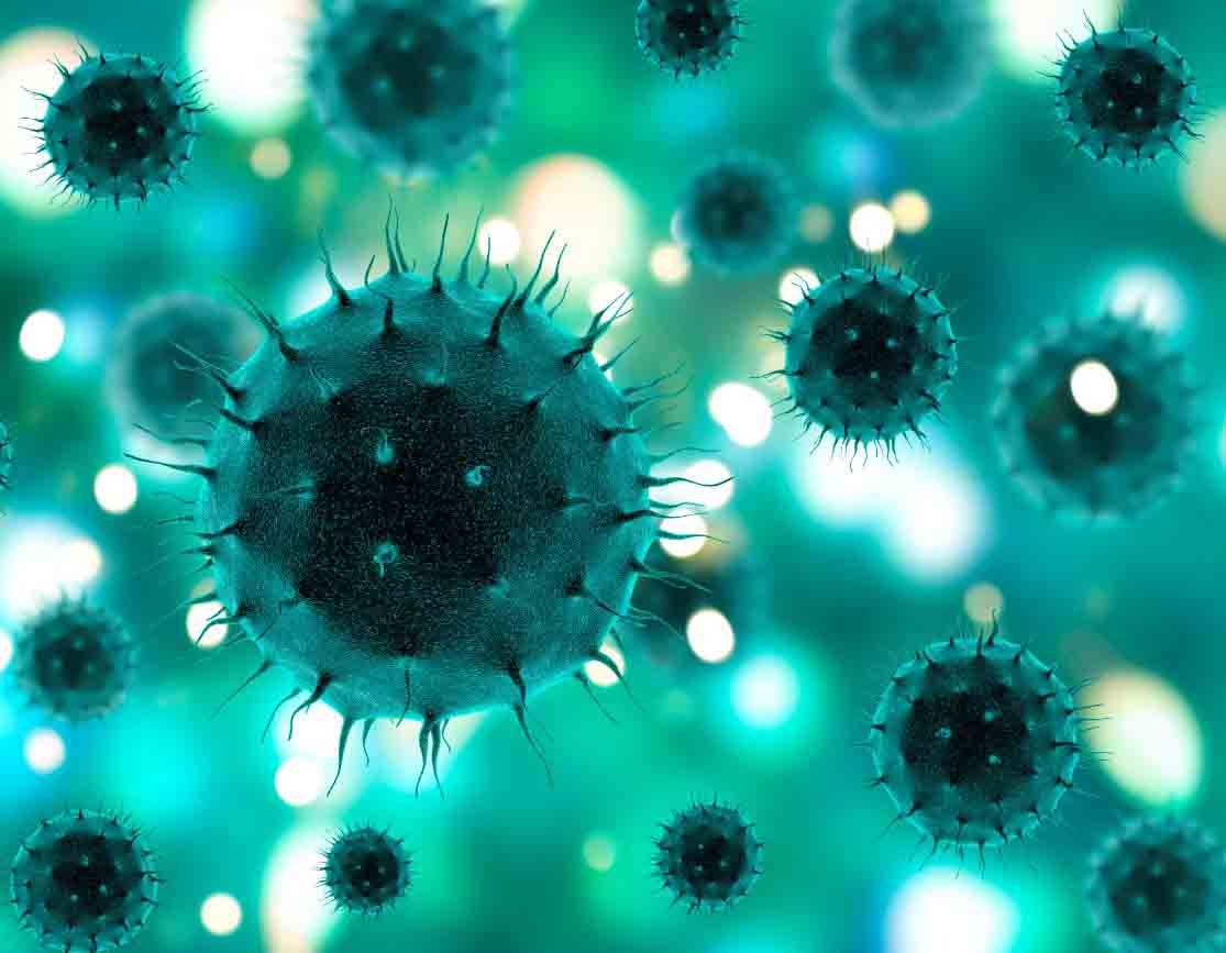 Human Papillomavirus – статьи о здоровье
