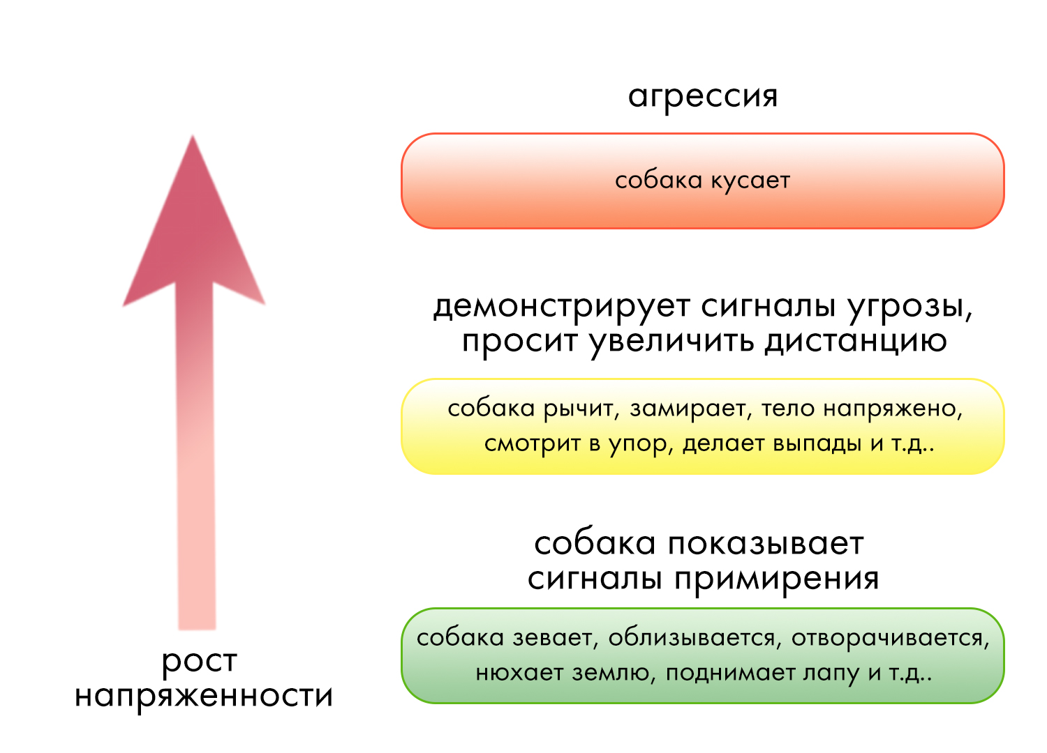 Журнал УСК июнь 2022