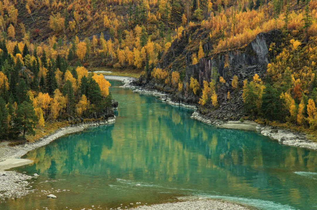 Горный Алтай Катунь осень