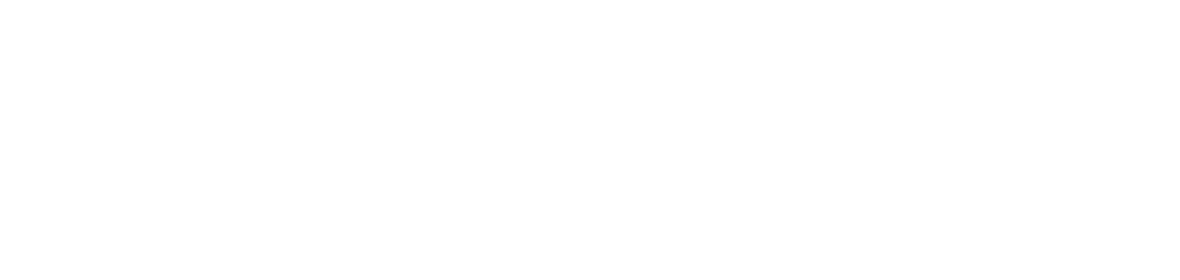 Каркас Лайн