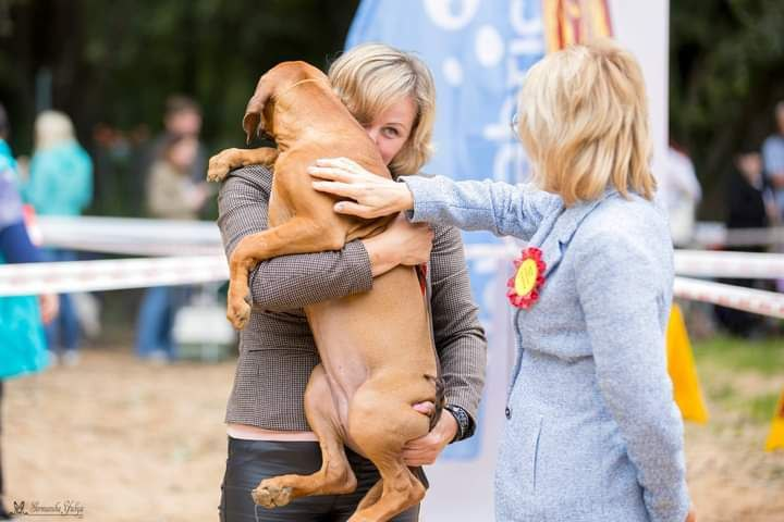 Baby sales dog show