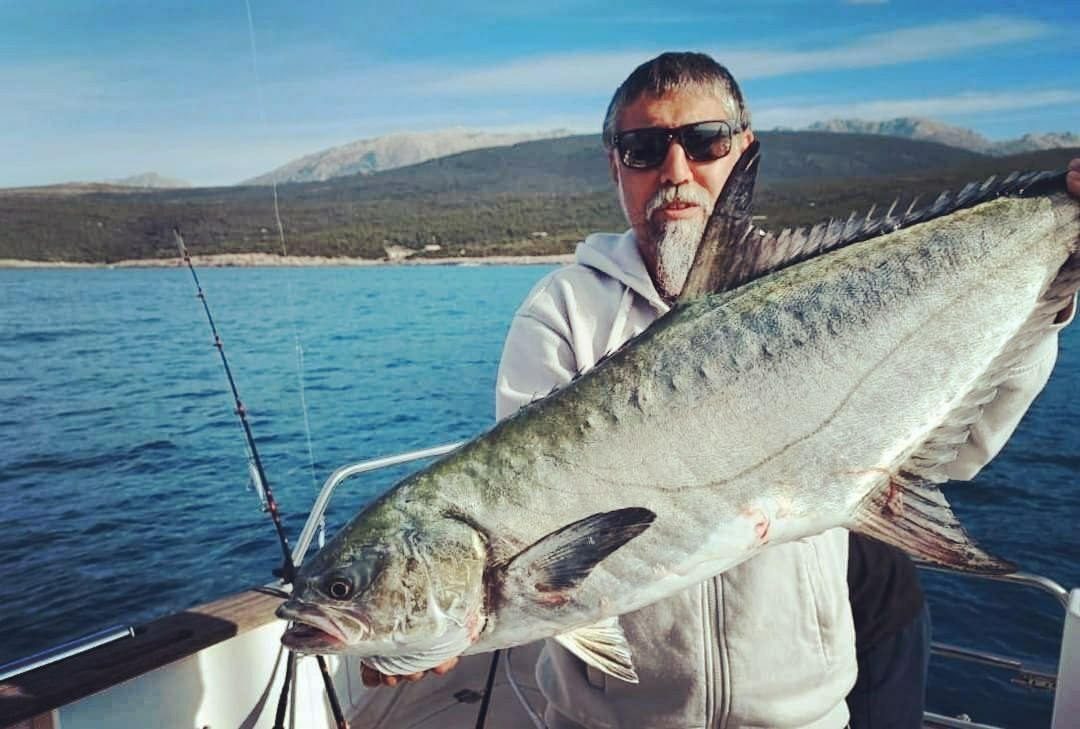 АМБЕРДЖЕКИ, БАРРАКУДЫ, МАХИ-МАХИ, ЛИХИИ,ТУНЦЫ, БОНИТО