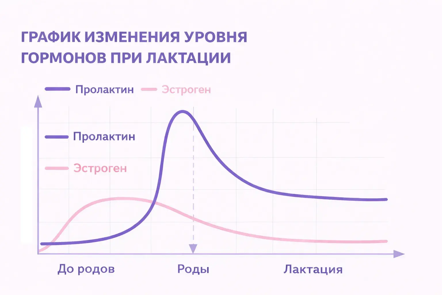 График изменения уровня гормонов при лактации
