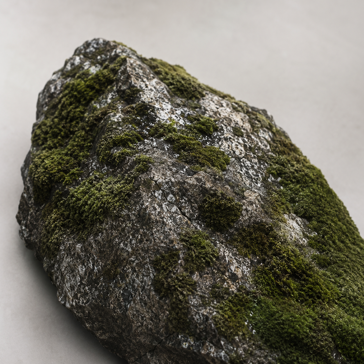 Stone texture detail