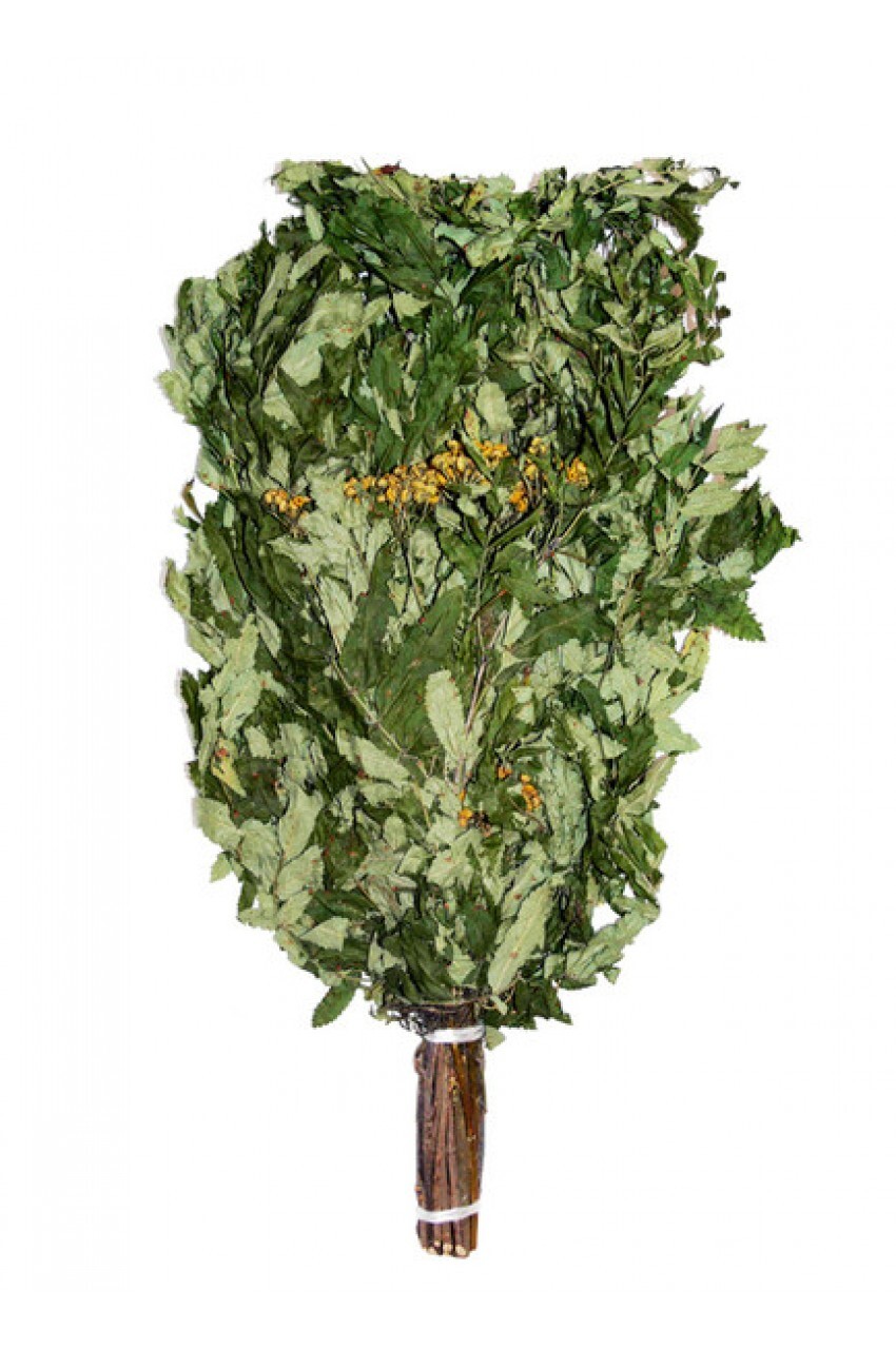 Рябиновый веник: красота и польза