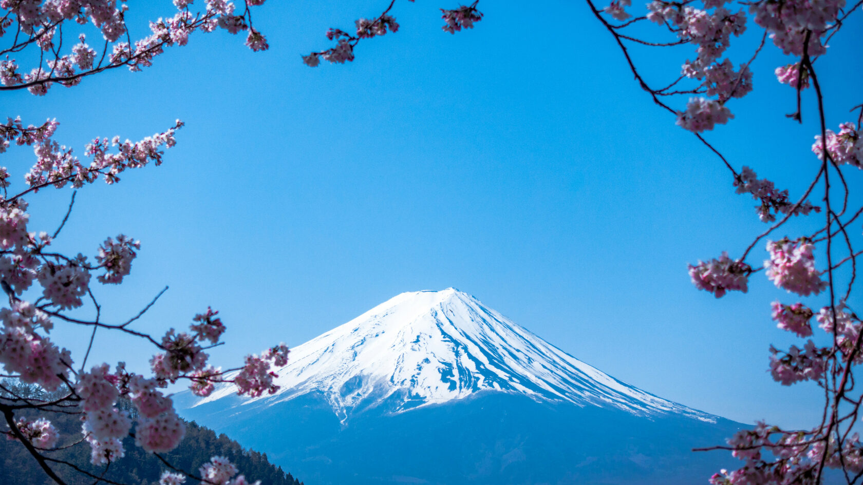 Гора Фудзи — главный природный символ Японии