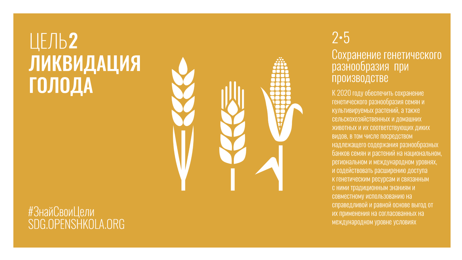 Ликвидация голода презентация