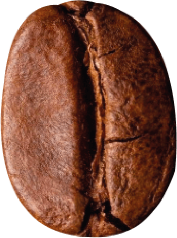 Organic Coffee Evalar: все товары из серии
