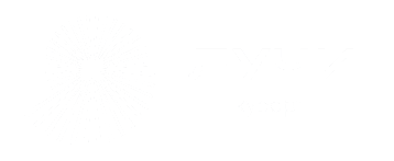  ГК ЛУЧИ 