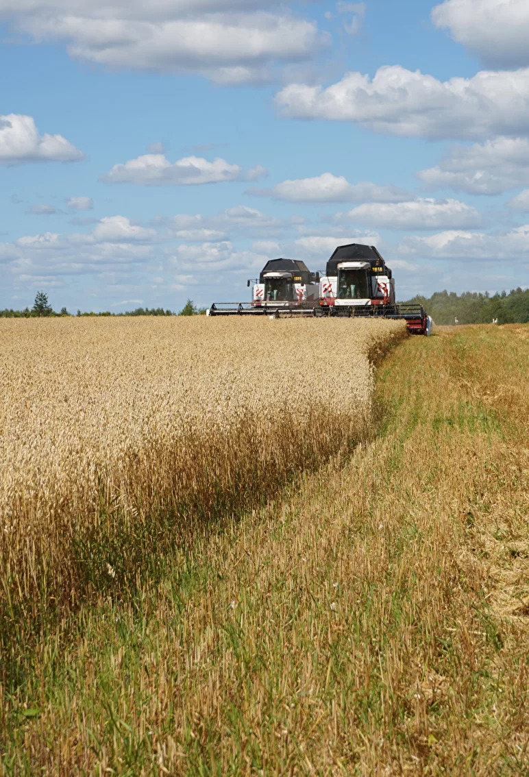 Овсяные хлопья Сташевское