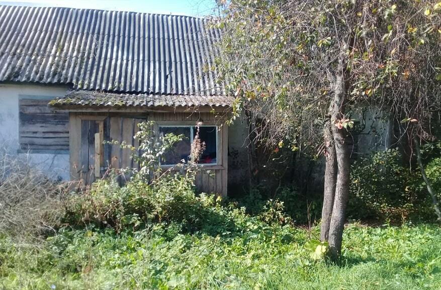 Кокино сегодня. Деревня Кокино фото Кашира сдаю дом.