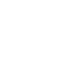 Портретная экспертиза