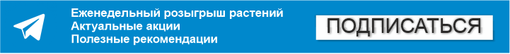 присоединяйтесь к нашему Телеграм