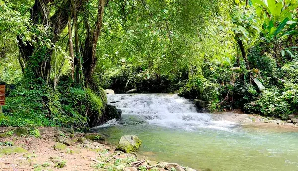 Каскад воды в зелёных зарослях