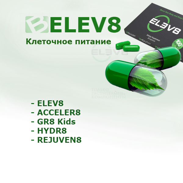 Elev8