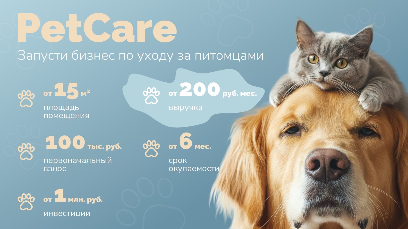 Презентация франшизы бизнеса по уходу за домашними животными