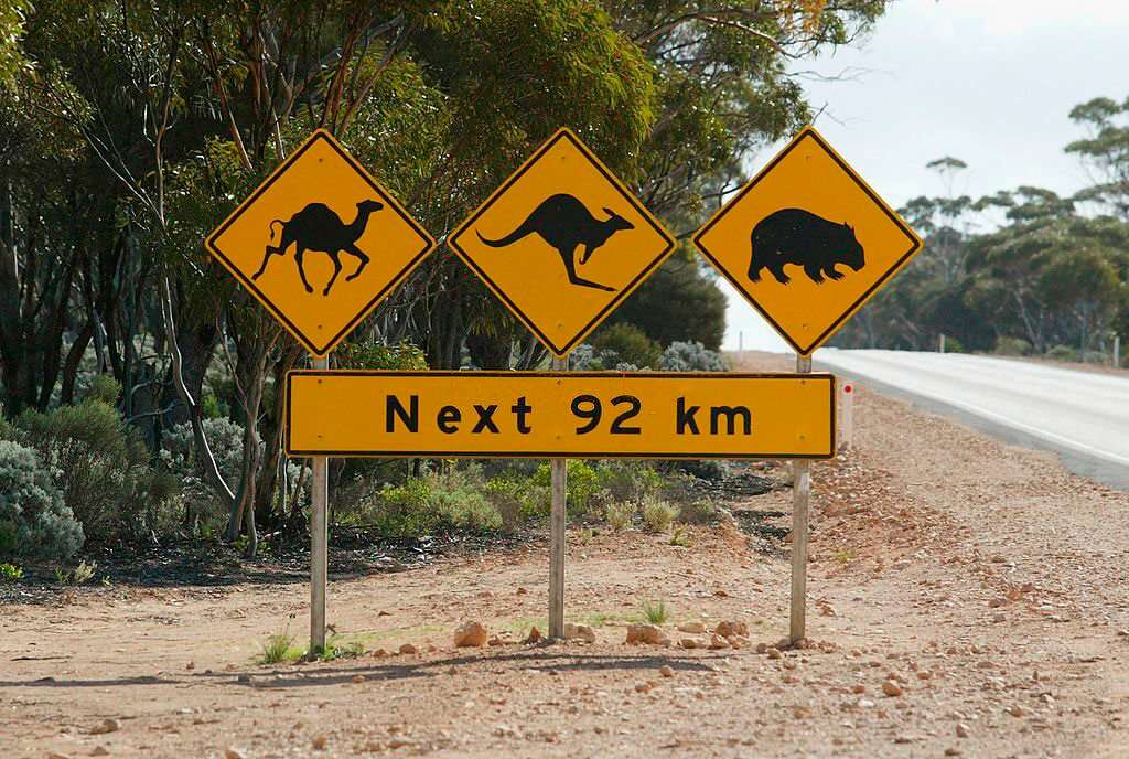 Дорожный знак на ралли Австралия 2003