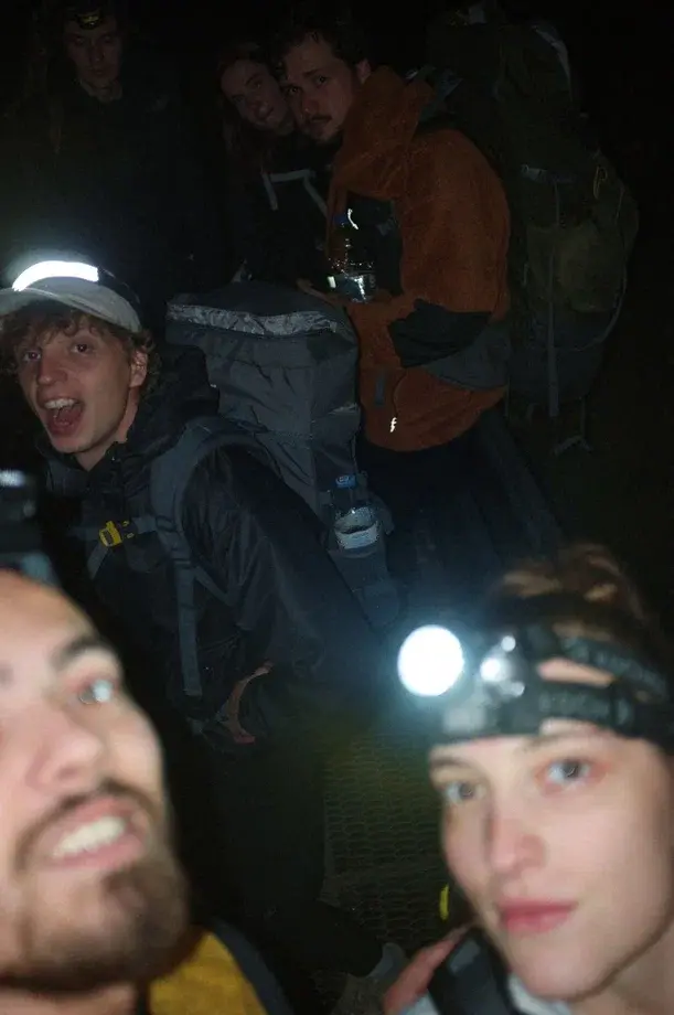 Блуждаем по лесу