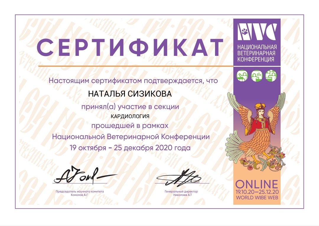 Сертификат об обучении 18