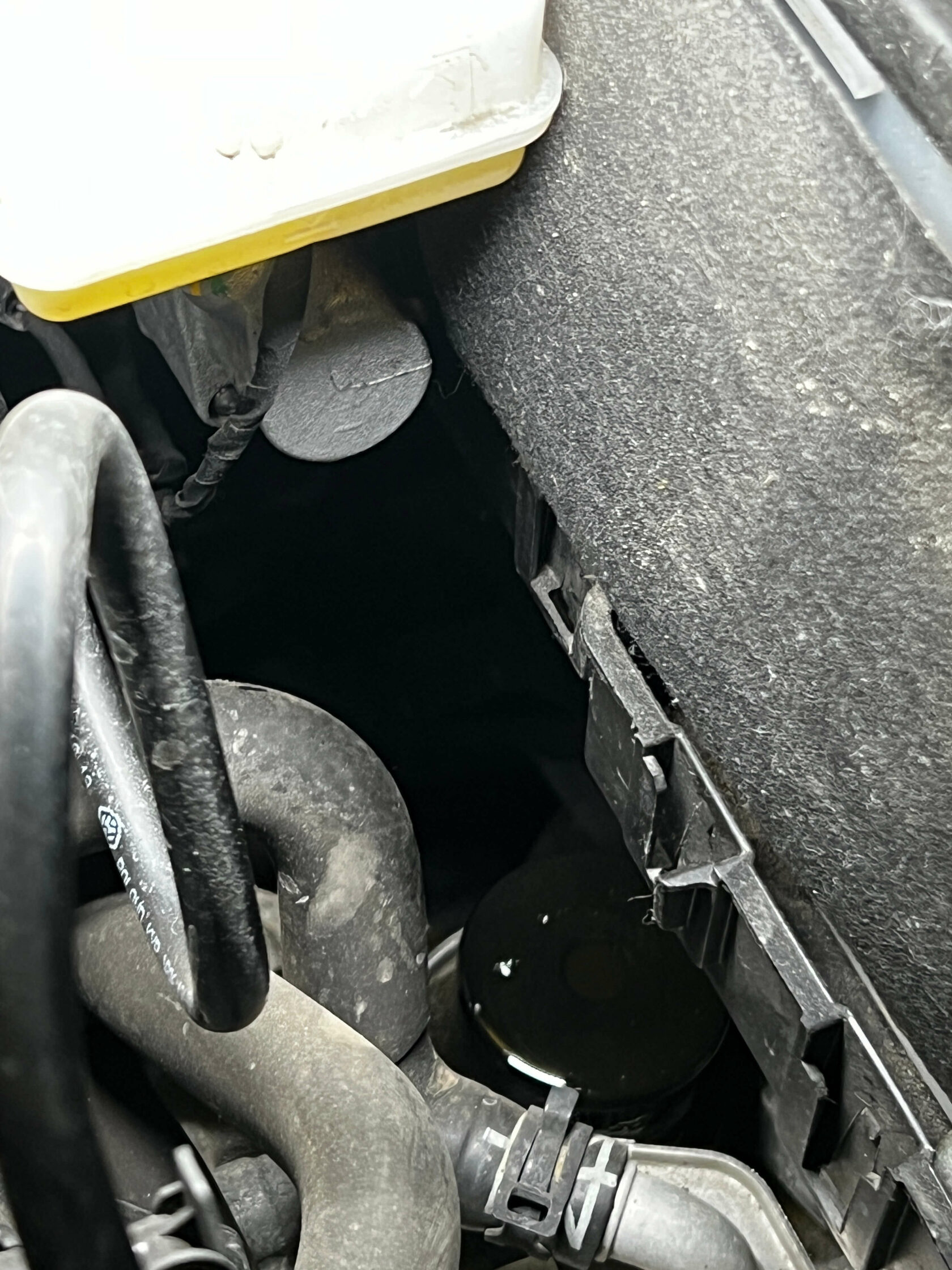 Вынимаем крышку и достаем старый фильтр DSG