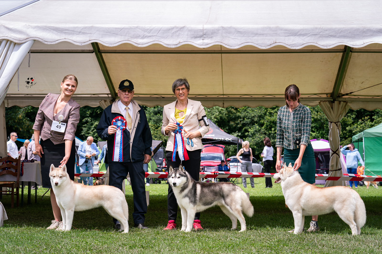 ÖCNHS, ÖKV, AKC, Hakuna Vota Yosemite, siberian husky