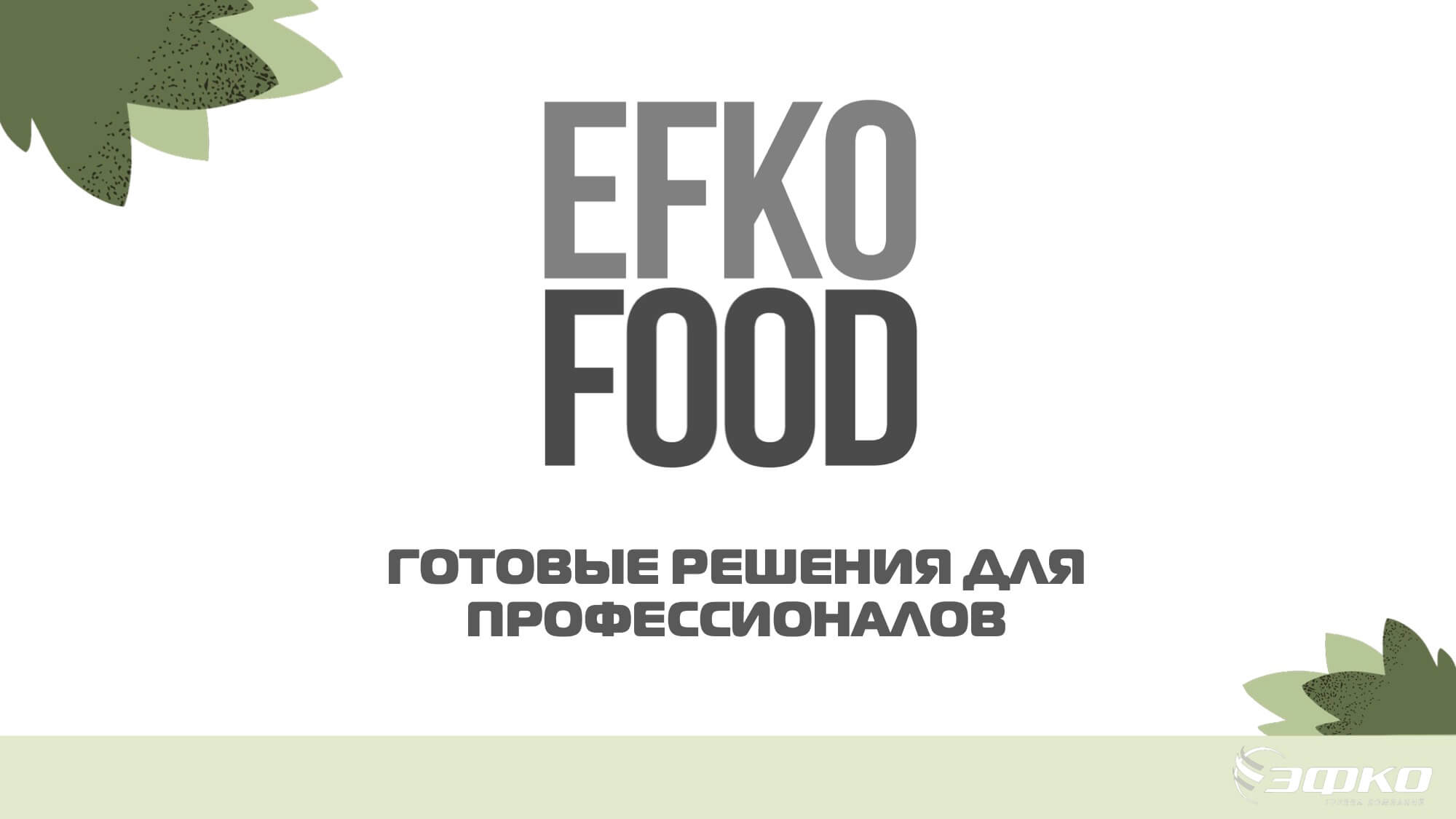 отовые решения для профессионалов от EFKO FOOD