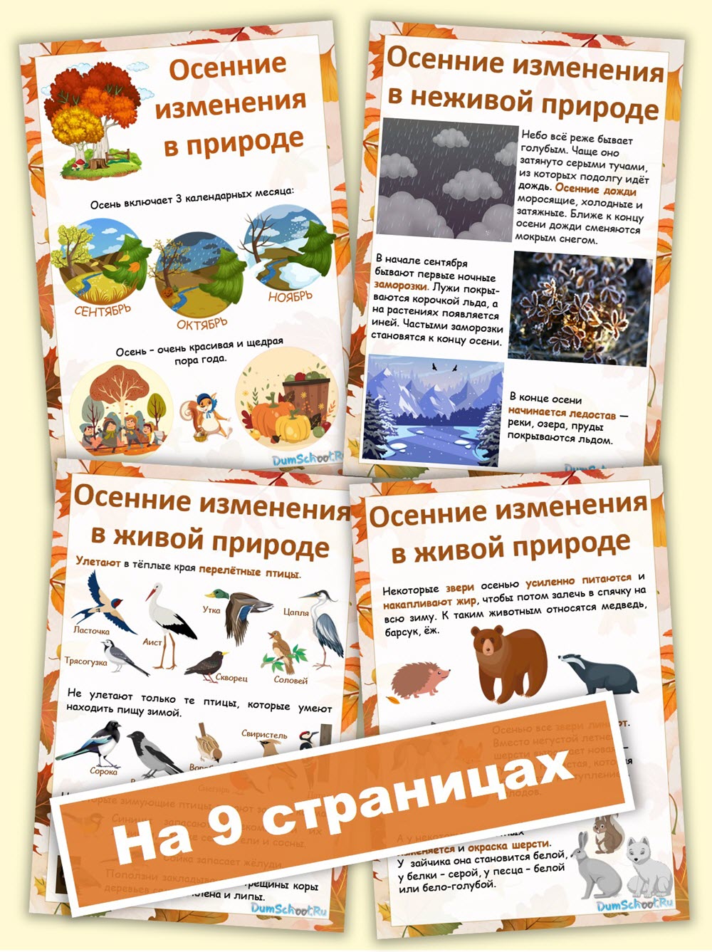 Осенние явления природы 2 класс