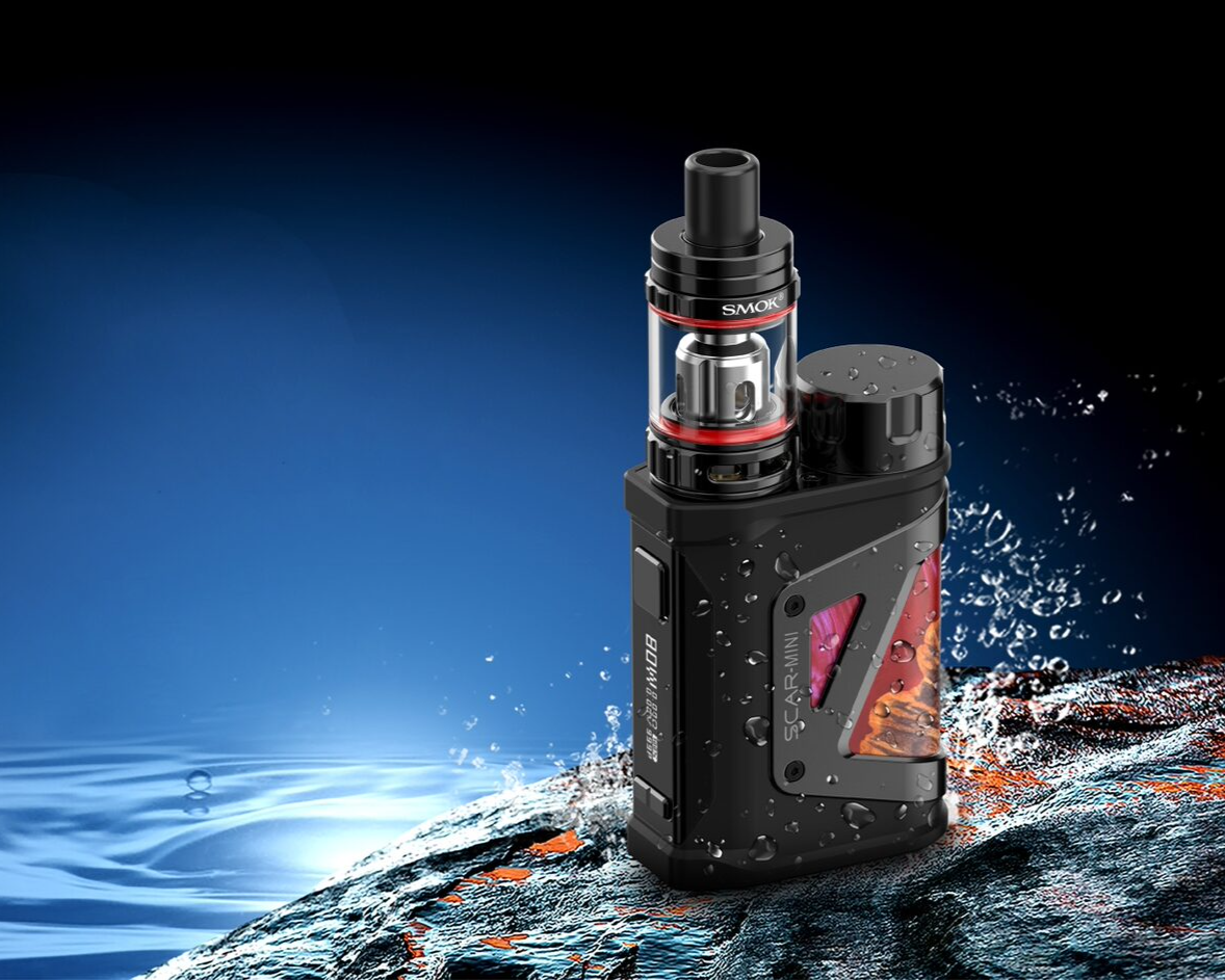 Smok r steam mini 80w фото 74