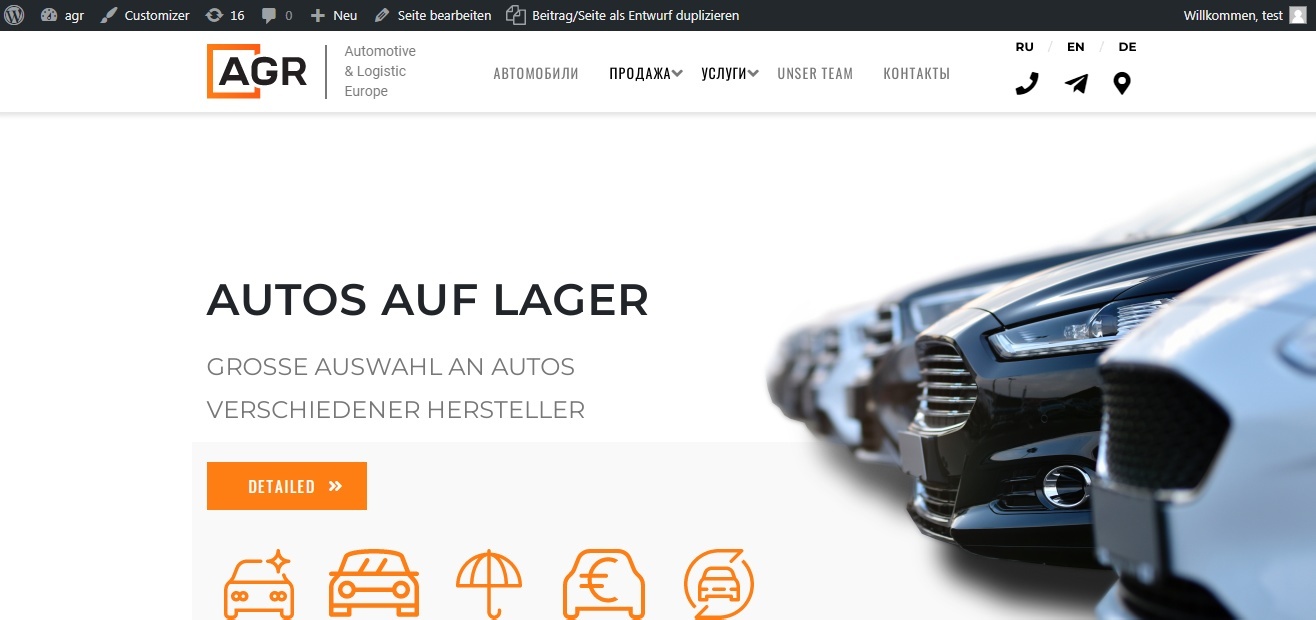 Website development project