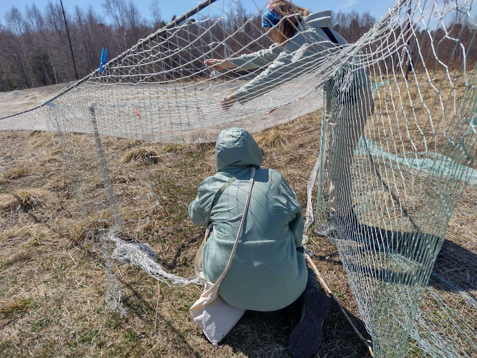 Станция кольцевания 