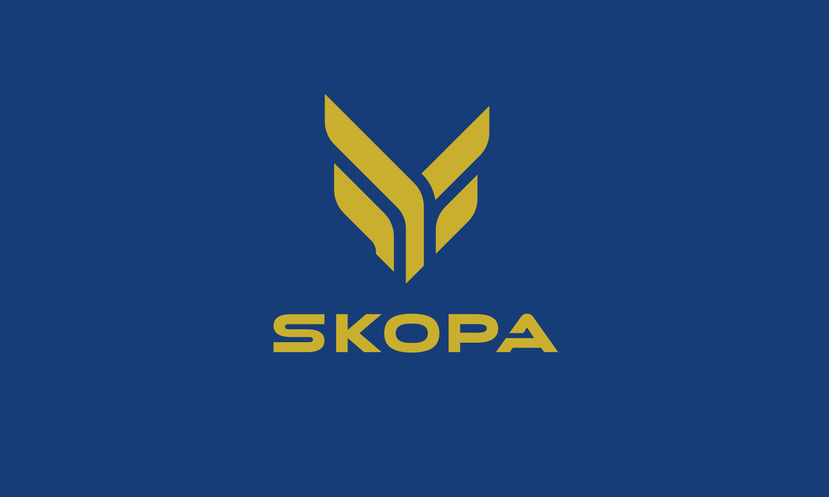 Skoppa Fun Skopa
