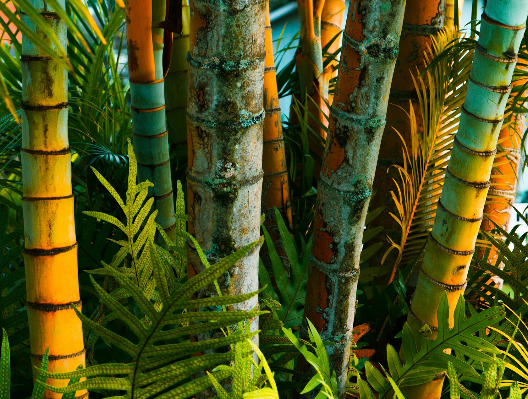 Warm spa stones, bamboo and natural textures arranged inside the treatment room