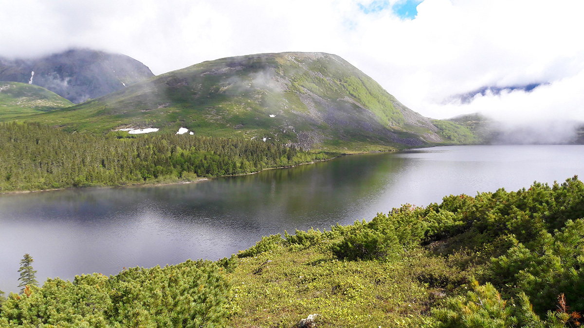 Сулук хабаровский край фото