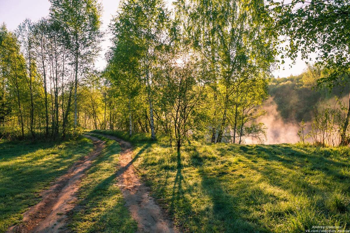 Утро в подмосковье фото