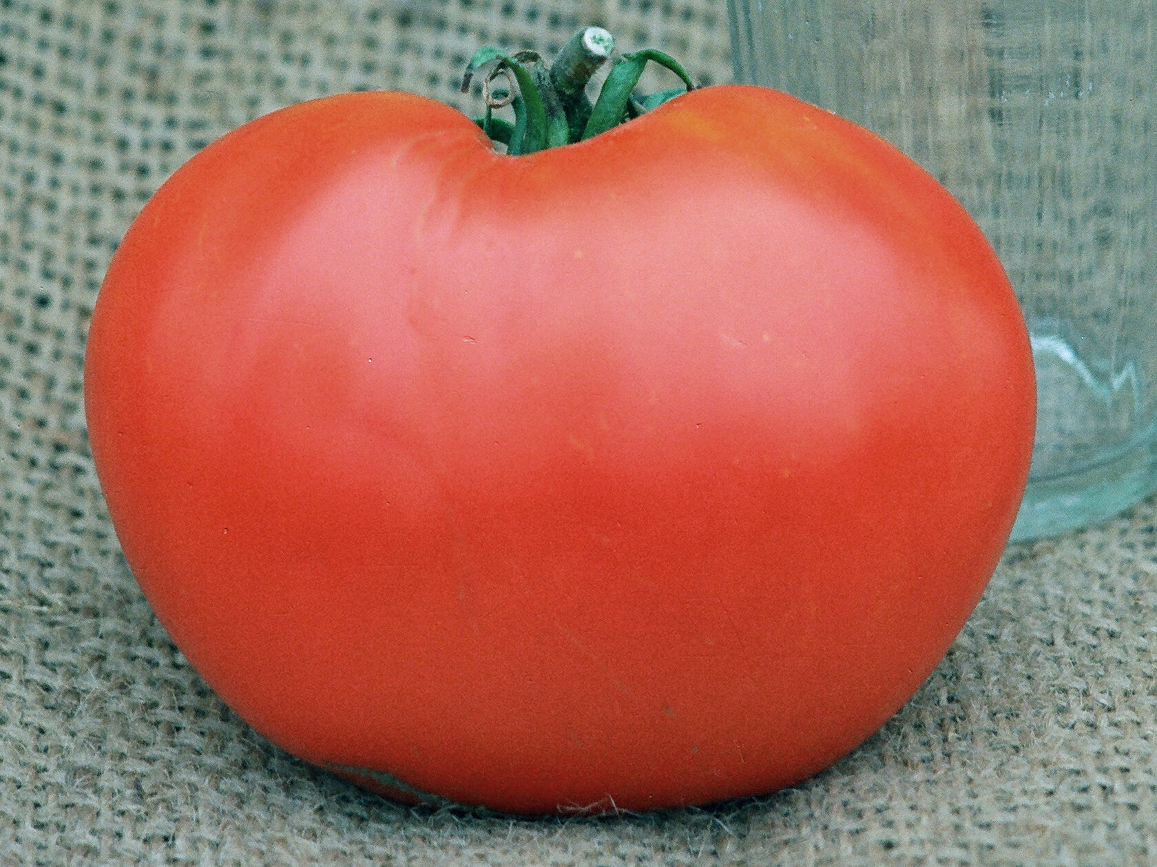 Семена урожайных томатов. Томат Шпаковский (25шт). Томат биф Самарский. Примо ред f1. Томат Ягуар.