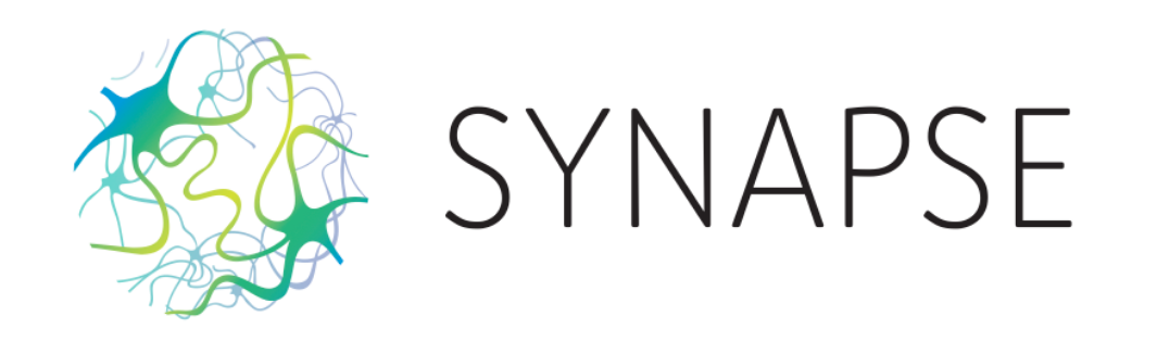 https://synapse.expert/