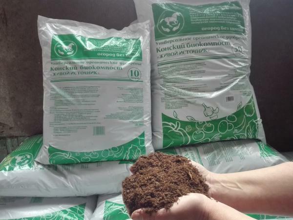 живой исток