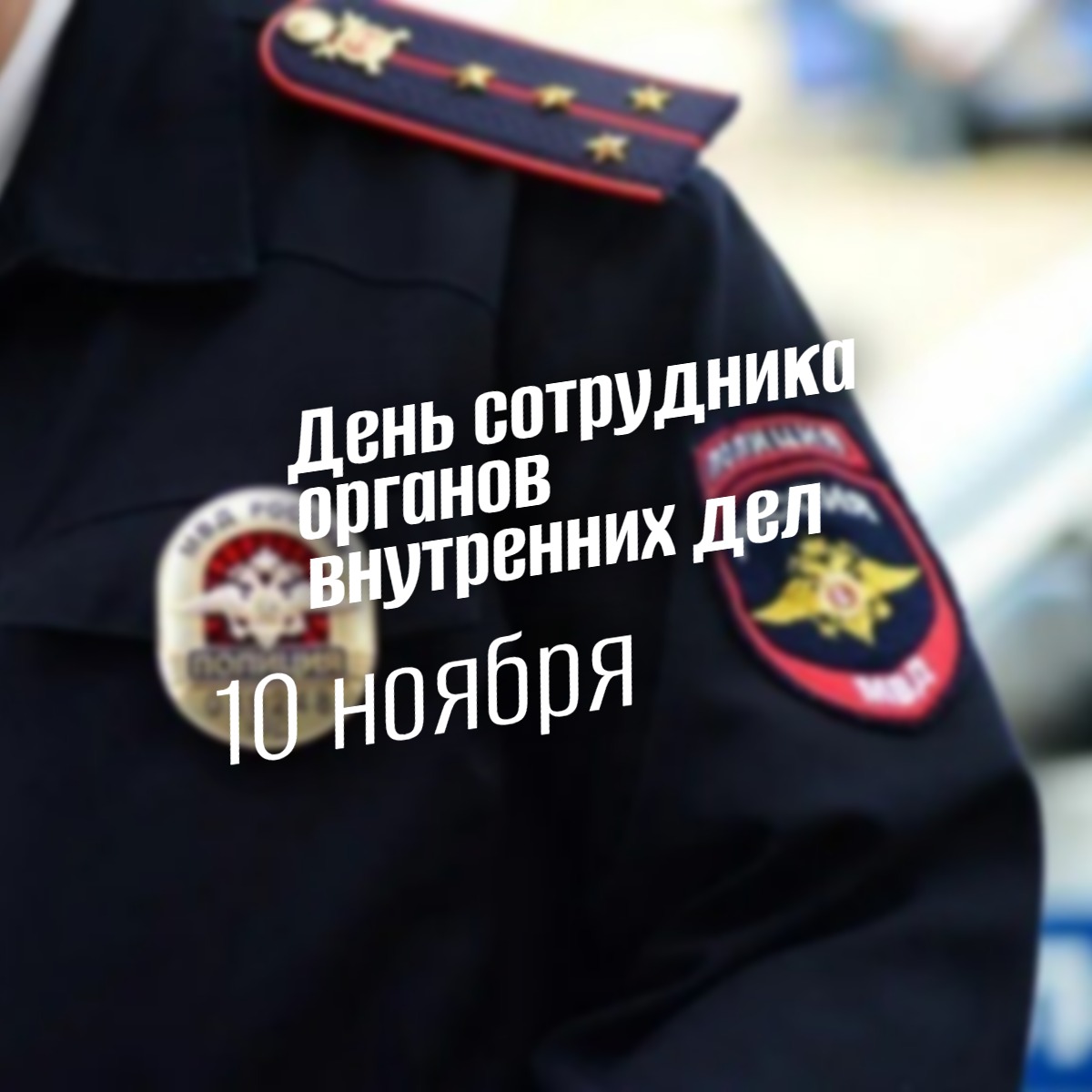 День сотрудника органов внутренних дел 10 ноября