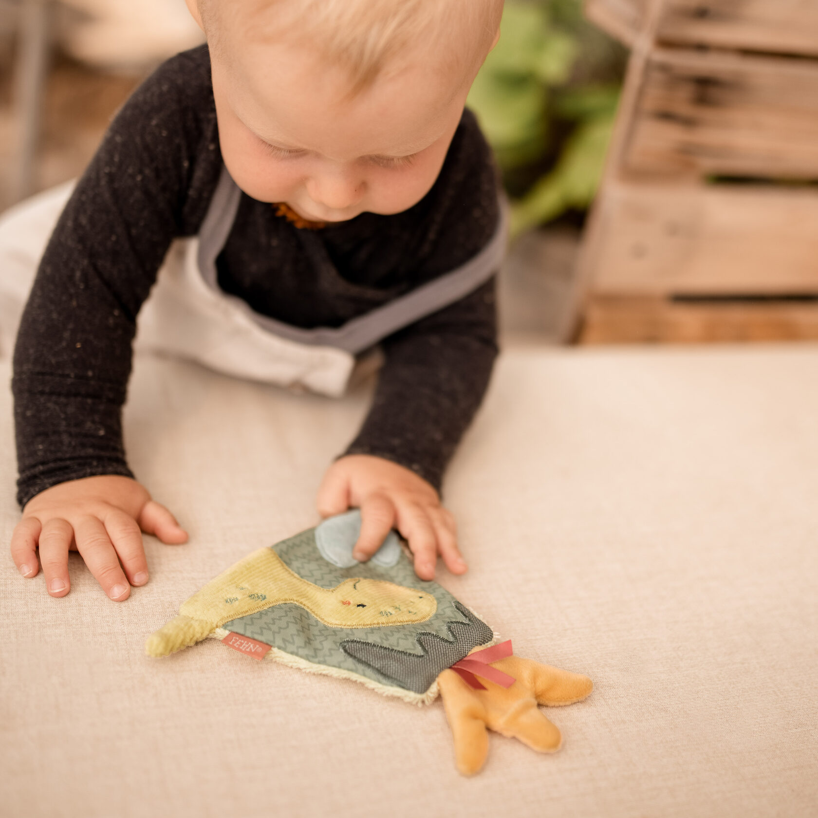 Fehn | Игрушки для детей с рождения оптом