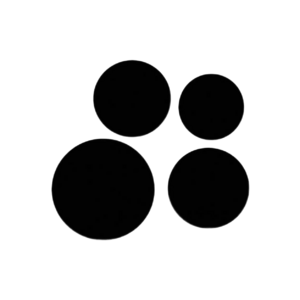 website icon