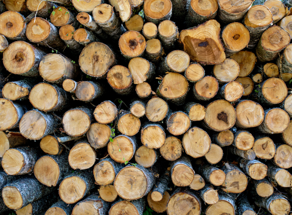 Пиломатериалы с пилорамы в Смоленске