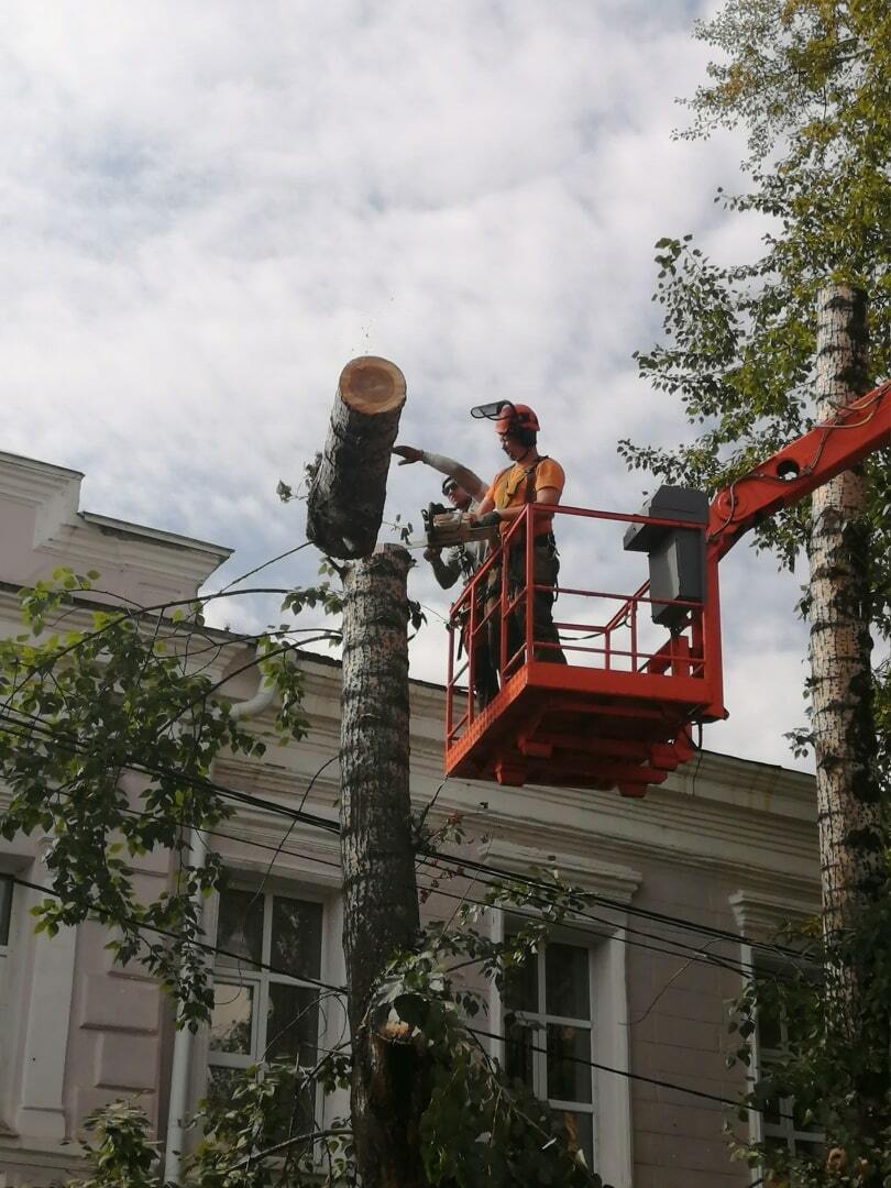 Спил и обрезка деревьев в Томске и ТО. Бесплатный выезд.