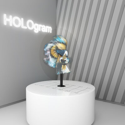 HOLOgram | 3D голографический проектор вентилятор | Аренда в СПб