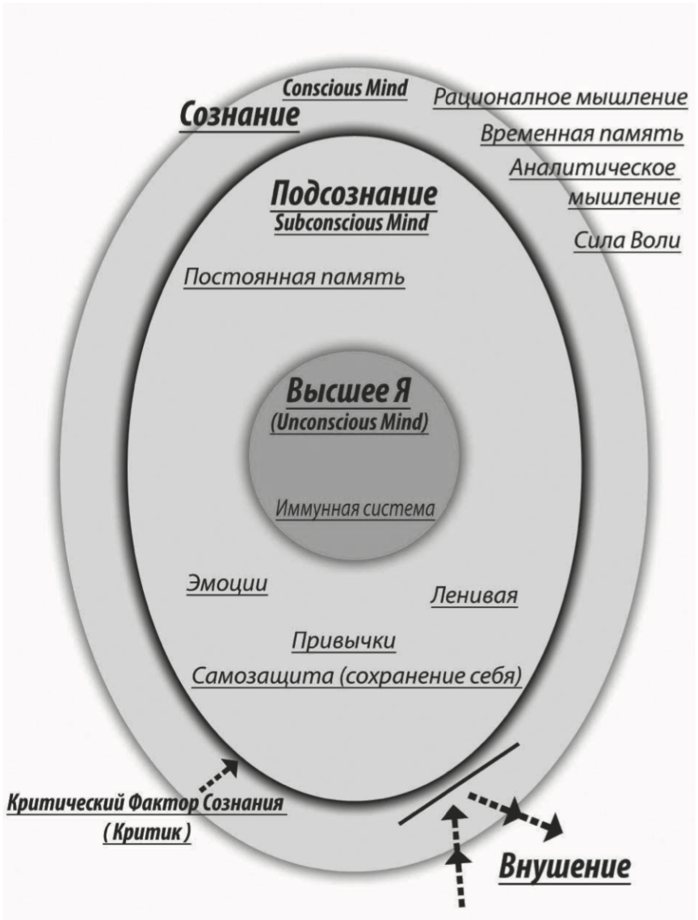 Терапевтическая стоматология на плакатах. Кабинет информатики. Виды сетевого бизнеса. Как устроен автомобиль. Информатика плакат.