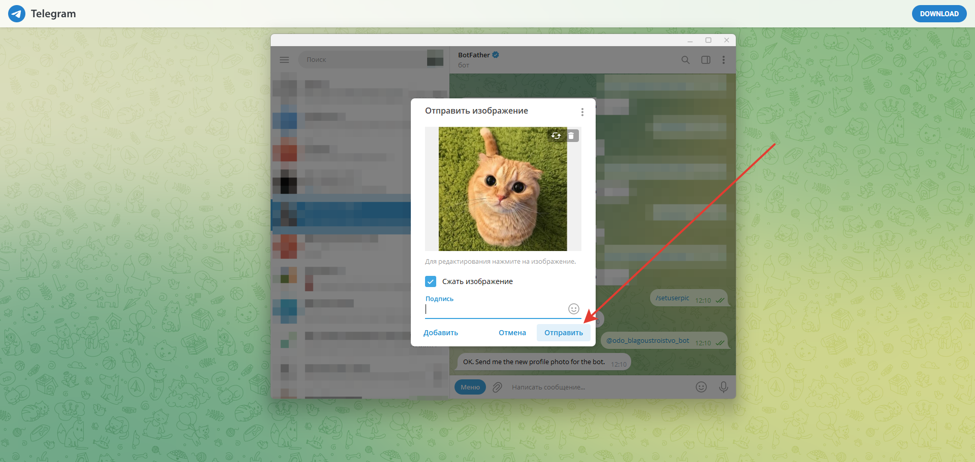 Затем выберите изображение и нажмите на кнопку «Send»