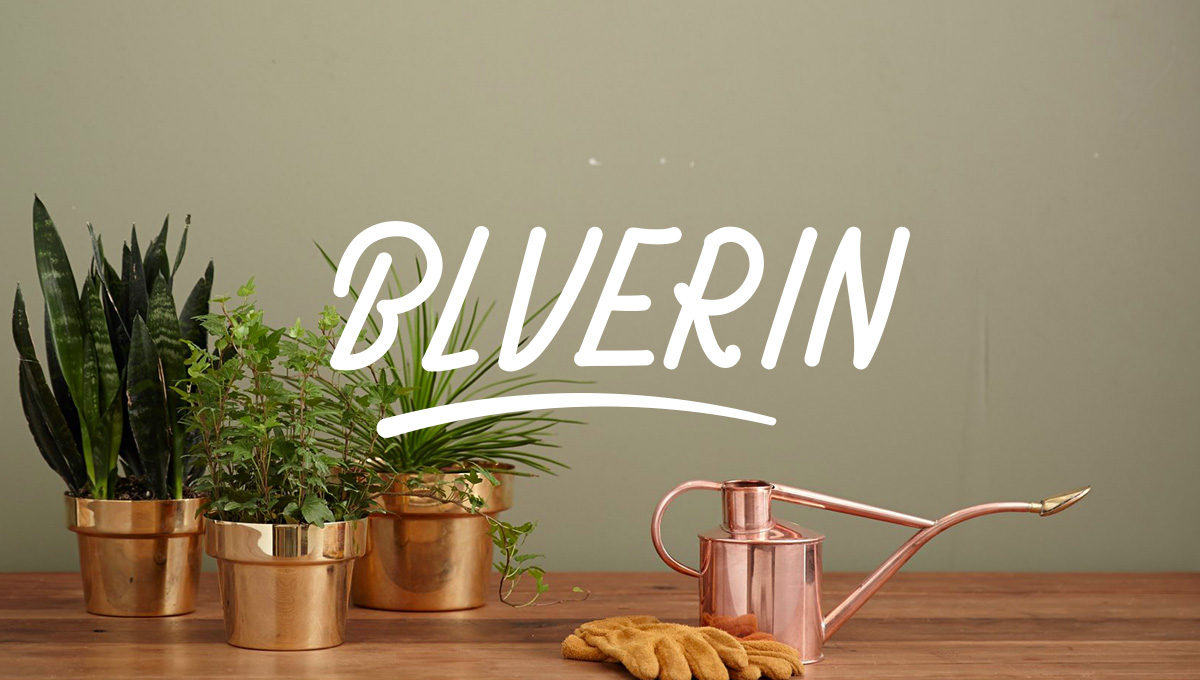 Bluerin store