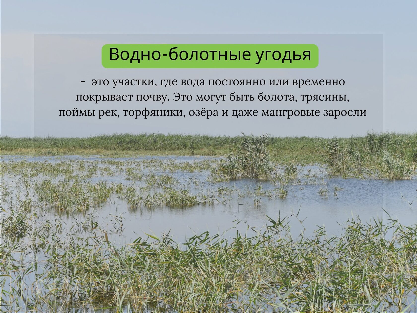 Нет описания фото.