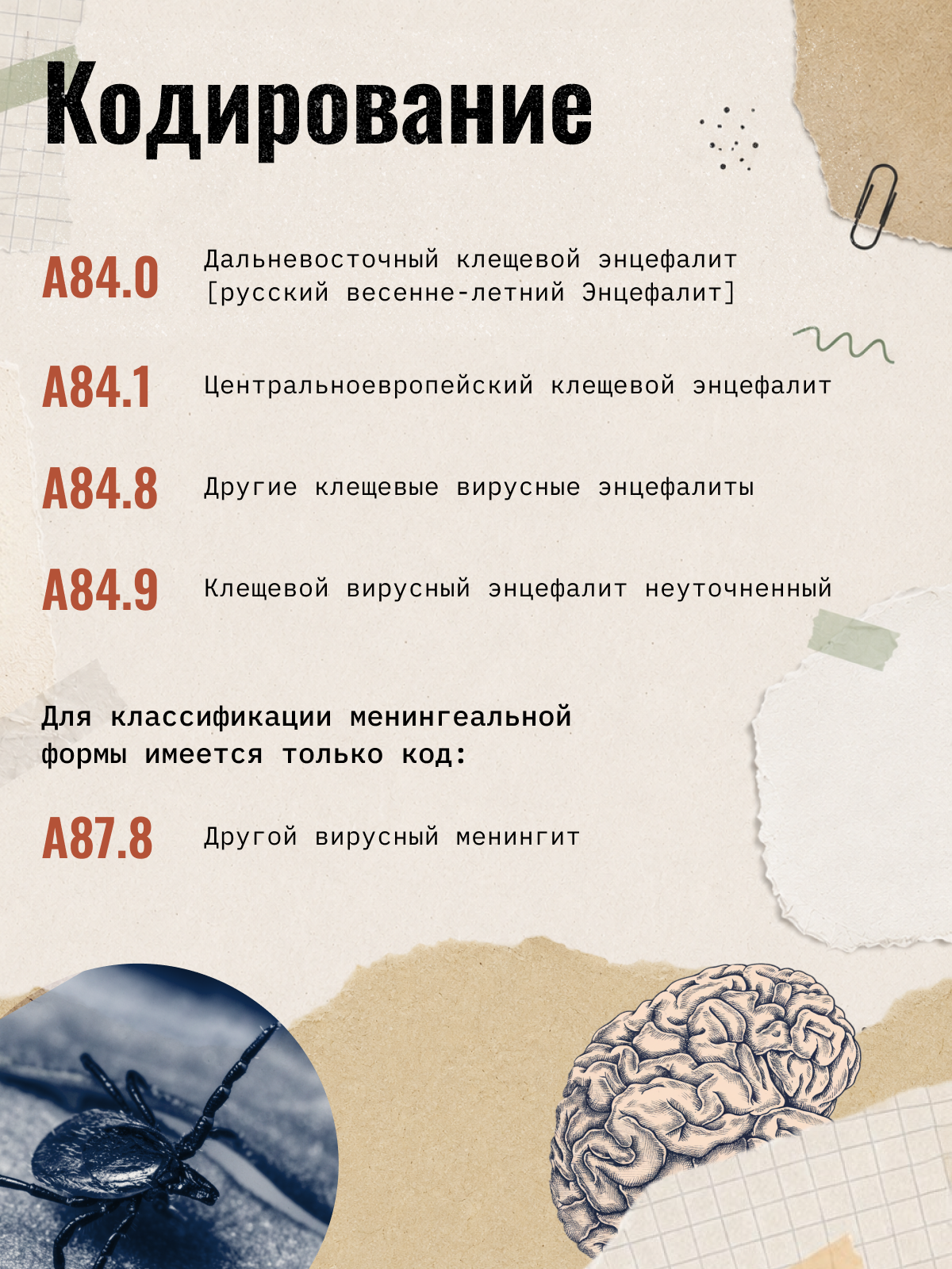 Карточка 7