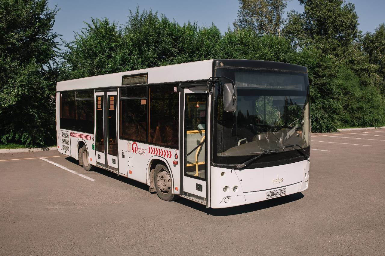 МАЗ 206